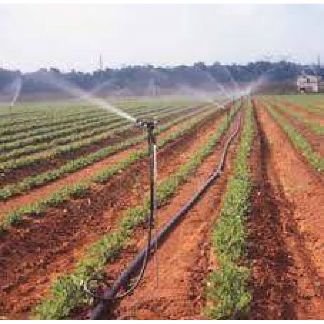 Projeto De Irriga O Agr Cola At Hectares